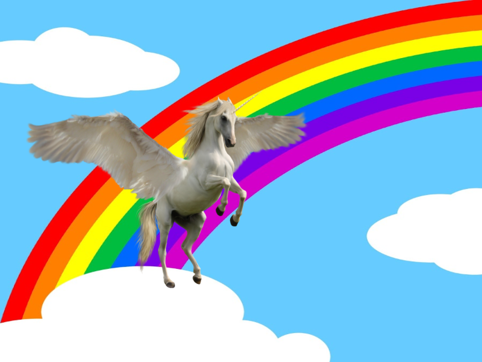 unicorn rainbow image